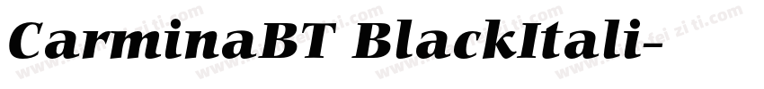 CarminaBT BlackItali字体转换
